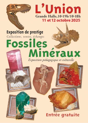 Affiche 23e Salon des Minéraux et Fossiles de L'Union (31)