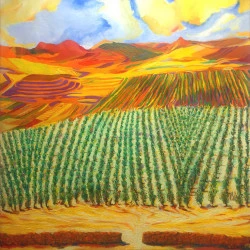 Vignes à Cessenon - huile sur toile 80x80 - Claude René Tarrit 