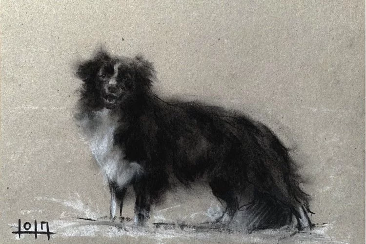 "Shepherd dog #3" - Pierre noire, fusain, craie sur carton, 15x21cm - année 2022 - Lola JAMIN 