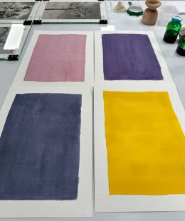 Atelier - <p>Préparation d'anthotypes avec différents type pigments</p> - Berta Ibáñez - 2024
