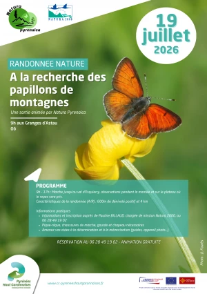 Affiche Sortie nature - A la découverte des papillons du Val d'Esquierry