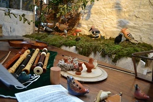 Affiche Spectacle Le Carnaval des Oiseaux