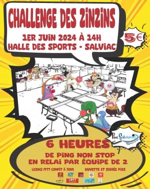Affiche Challenge des Zinzins