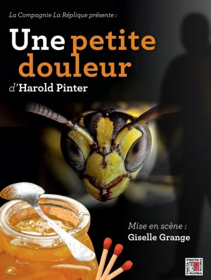 Affiche Une petite douleur