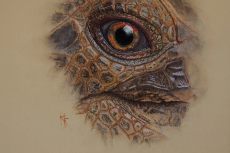 Tortuga - papier Pastelmat 30 x 40cm, divers bâtonnets et crayons