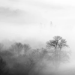 SFUMATO 02 - Paysage