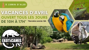 Affiche Vacances d'Avril à Exoticamis