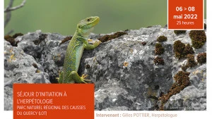 Affiche Séjour d'Initiation à l'Herpétologie