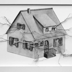 Fantômes des origines - Dessin graphite, encre blanche, racines de mon territoire, dans cadre vitrine bois - Format 40x30 cm , 4,5 cm de profondeur - 2025 - Zabel Charrié 