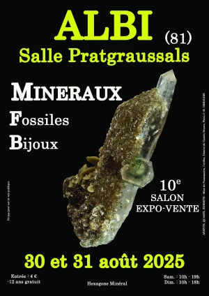 Affiche 10e salon minéraux fossiles bijoux d'Albi (Tarn)