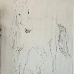 Yves Marcerou - Séance de dessin aux Cabanelles