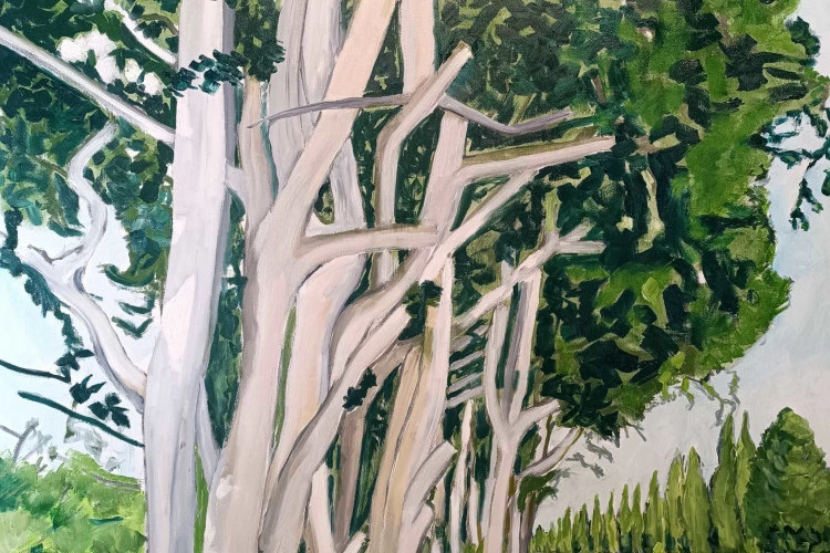 canal du Midi - mixte sur toile 146x114 - Gelly 