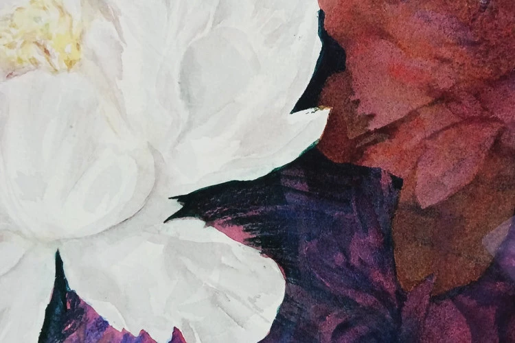 Fleurs - aquarelle - Amandine Szczepaniak 