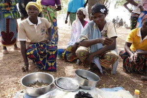 Affiche Festival Alimenterre