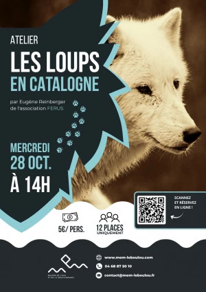 Affiche Atelier sur les traces des Loups