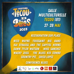 Affiche Festival Técou en Blues #2