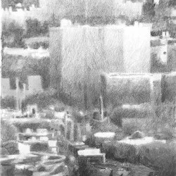 A57 - graphite su papier 30x20 cm