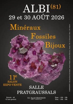 Affiche 11e salon minéraux fossiles bijoux d'Albi (Tarn)