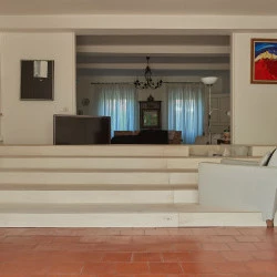 Palabre - bois de peuplier, installation chez l'habitant, 2022, AFIAC - Baptiste Dété 