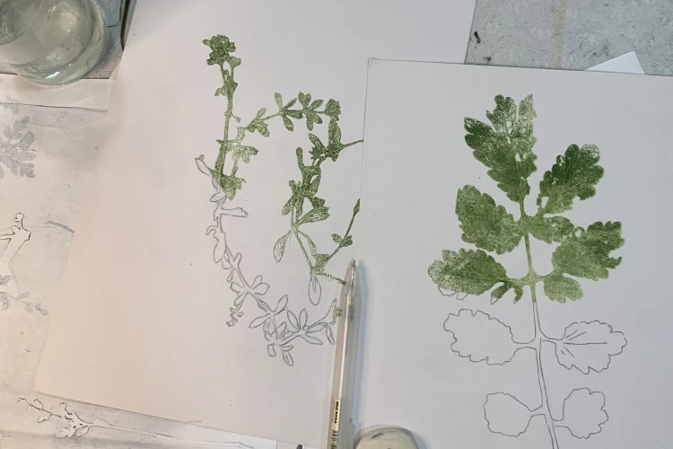 Monotype, encre et crayon - Ariane CONTE 