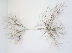 Affiche Ainsi va la vie, au coin du bois