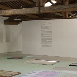 Et d'un coup tout tourne au VINAIGRE - Et d'un coup tout tourne au VINAIGRE, 2021, installation, vue de l'exposition collective Space, Hope & Display, 2021, Genre 2030, L.A.C., Sigean. - Christine Sibran 