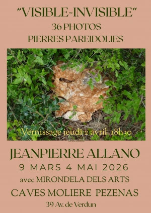 Affiche Visible - Invisible 36 photos pierres paréidolies 