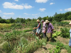 Affiche Club des jardiniers : les traitements naturels