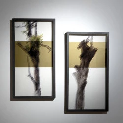 Bois troubles - Tirages sur verre, métal, 75x49 cm - Éléna Salah 