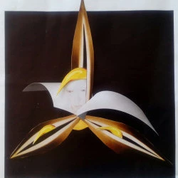 lyshomme, - colalge, 36x36 plastifié