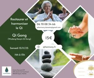 Affiche Stage Wudang daoyin qi gong