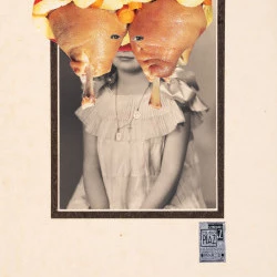 jambonneau - collage sur papier - Paula Bonneaud 