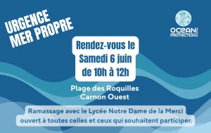 Affiche Ramassage du samedi 6 juin 