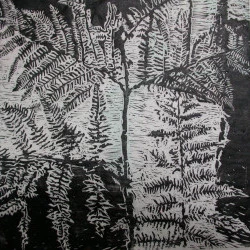 les fougères - xylographie 45x45 2019