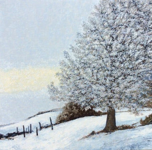 Affiche Nature d'aveyron