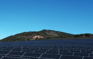 Affiche Pâturage et photovoltaïque