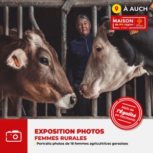 Affiche Mois de l'Égalité en Occitanie