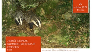 Affiche Journée technique Mammifères forestiers et nocturnes
