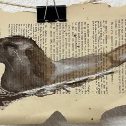 Loutre - Encre sur pages de livre