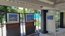 atelier et lieu de travail - <p>exposition</p>