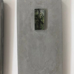 Herbier - Transfert photographique sous résine, ciment, 25x19 cm - Éléna Salah 