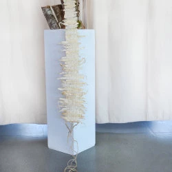 Colonne vertébrale - Colonne vertébrale tissée avec des feuilles de maïs et des fils de jute - Valérie Vial Ariza 