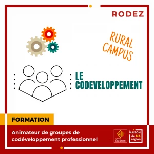 Affiche Formation Animateur de Groupes de codéveloppement professionnel