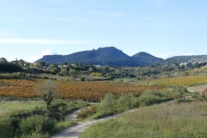 Affiche Terroirs, géologie, vin