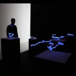 MentalMap - installation de sculptures en impression 3D sous lumière noire, 2014-fin de la vie de l'artiste, dimensions variables - images : claire sauvaget 