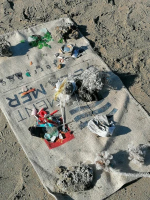 Affiche Ramassage de déchets à Agde ! 