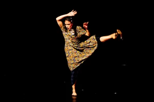 Affiche Un joli désordre dans un silence glacial - Cie MariaMaria