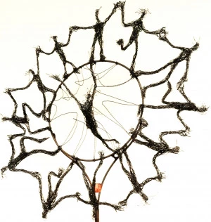 Affiche Conférence interactive - « Point de vue »