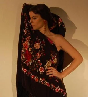 Affiche Une saison avec flamenco pour tous 