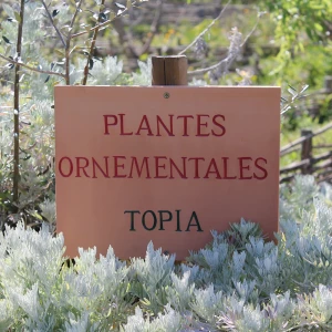 Affiche Balade au jardin des potiers à Amphoralis